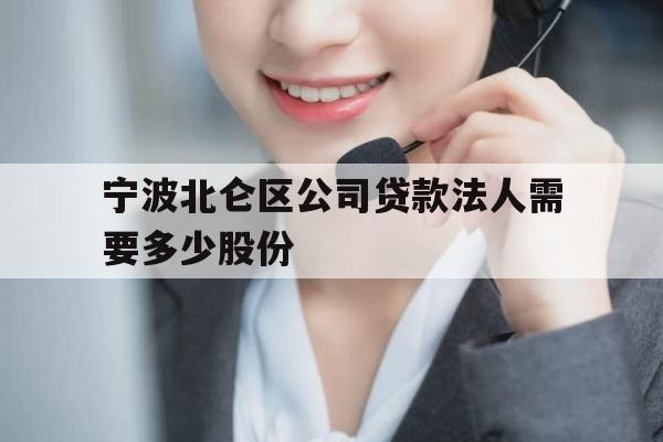 宁波北仑区公司贷款法人需要多少股份