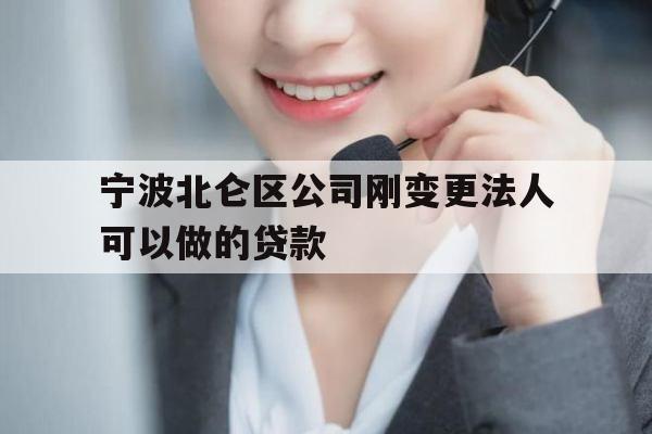 宁波北仑区公司刚变更法人可以做的贷款