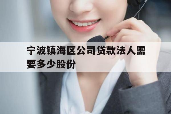 宁波镇海区公司贷款法人需要多少股份