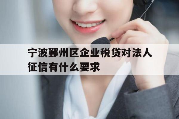 宁波鄞州区企业税贷对法人征信有什么要求