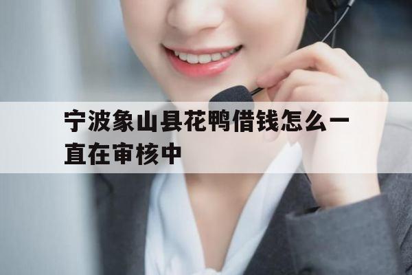 宁波象山县花鸭借钱怎么一直在审核中